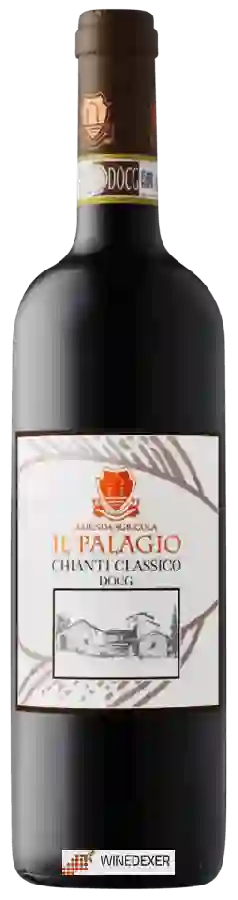 Weingut Azienda Agricola Il Palagio - Chianti Classico
