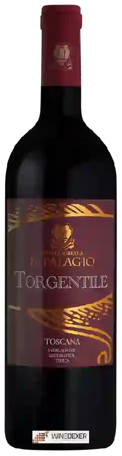 Weingut Azienda Agricola Il Palagio - Torgentile Toscana