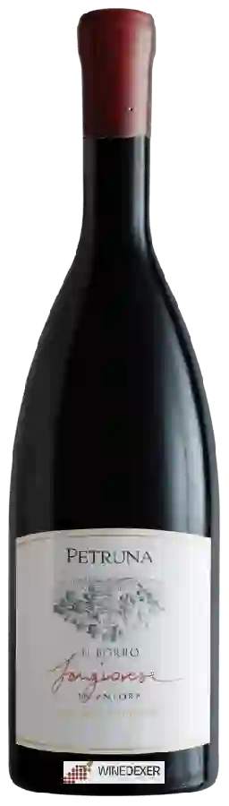 Weingut Il Borro - Petruna Sangiovese In Anfora