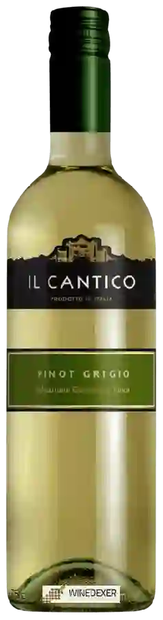 Weingut Il Cantico - Pinot Grigio
