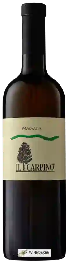 Weingut Il Carpino - Malvasia Weingut Il Carpino - Malvasia