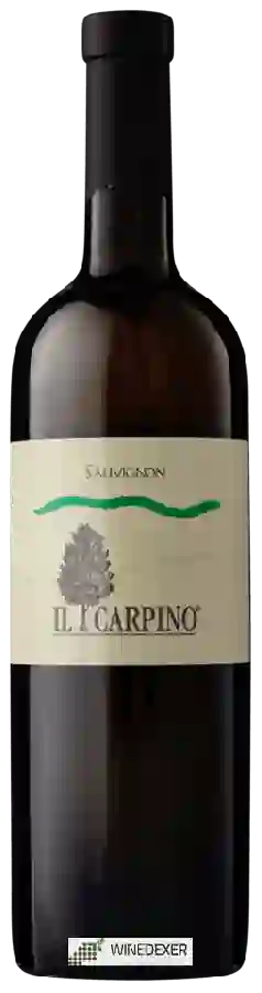Weingut Il Carpino - Sauvignon Weingut Il Carpino - Sauvignon