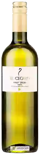 Weingut Il Cigno - Pinot Grigio