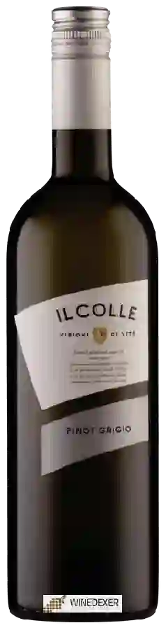 Weingut Il Colle - Pinot Grigio