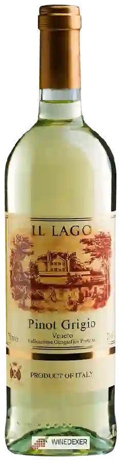 Weingut Il Lago - Pinot Grigio