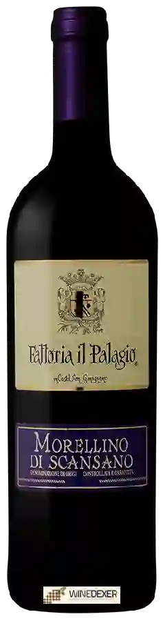 Weingut Il Palagio - Morellino di Scansano