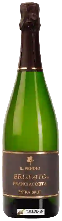 Weingut Il Pendio - Franciacorta Brusato Extra Brut