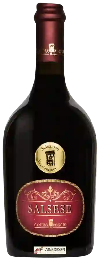 Weingut Il Poggio - Il Salsese Weingut Il Poggio - Il Salsese