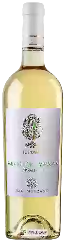 Weingut Il Pumo - Sauvignon - Malvasia