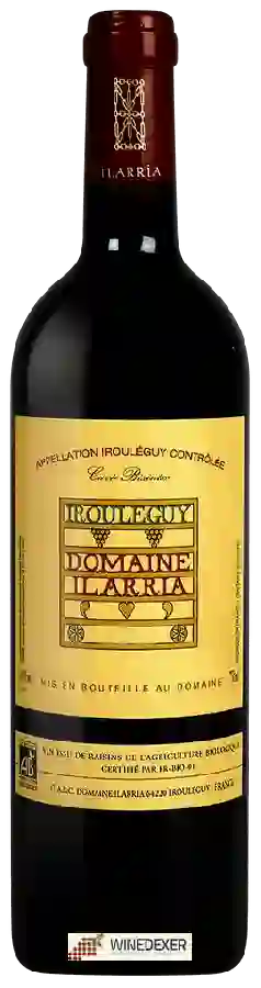 Domaine Ilarria - Cuvée Bixintxo Irouléguy