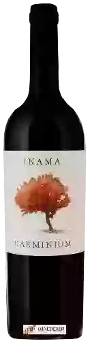 Weingut Inama Azienda Agricola - Carminium
