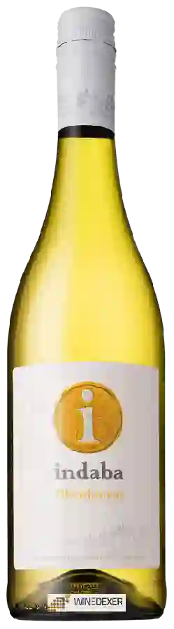 Weingut Indaba - Chardonnay Weingut Indaba - Chardonnay