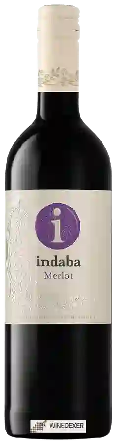 Weingut Indaba - Merlot