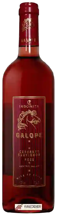 Weingut Indomita - Galope Cabernet Sauvignon Rosé Weingut Indomita - Galope Cabernet Sauvignon Rosé