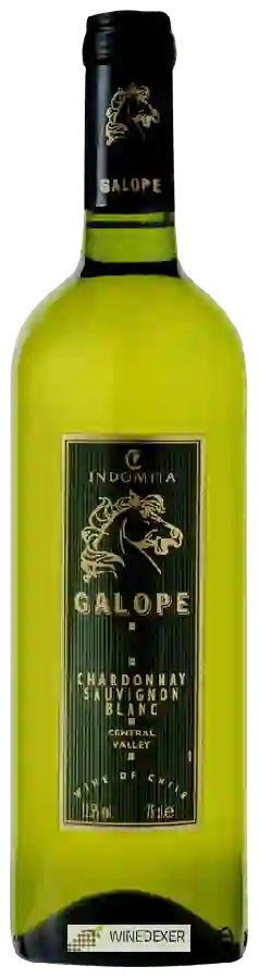 Weingut Indomita - Galope Chardonnay - Sauvignon Blanc