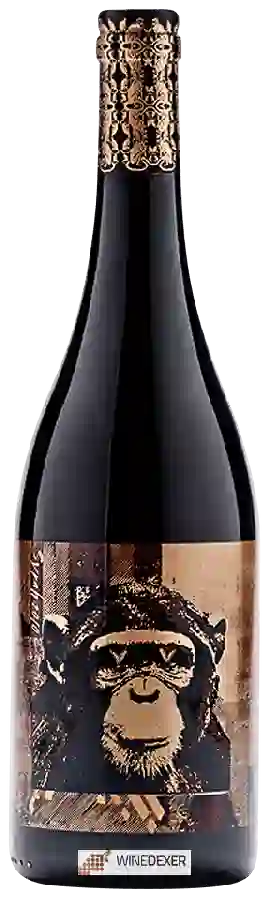Weingut Infinite Monkey Theorem - Syrah Weingut Infinite Monkey Theorem - Syrah