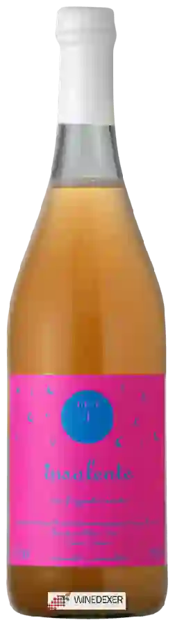 Weingut Insolente - MR 1 Frizzante Ramato Weingut Insolente - MR 1 Frizzante Ramato