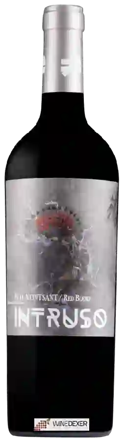 Weingut Intruso - Red Blend Weingut Intruso - Red Blend