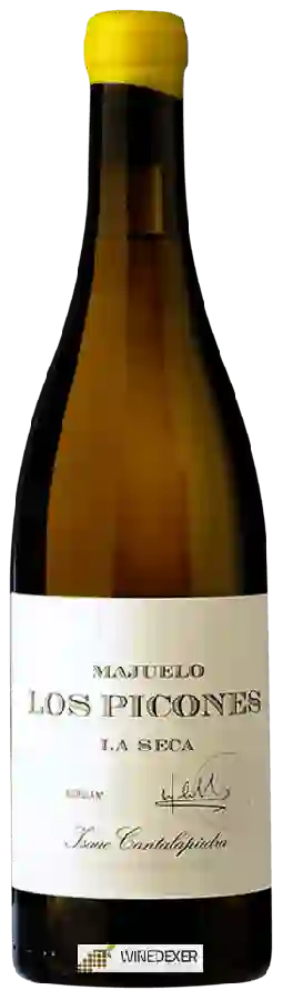 Weingut Isaac Cantalapiedra - Majuelo Los Picones La Seca