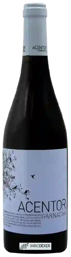 Weingut Isaac Fernandez - Acentor Garnacha Weingut Isaac Fernandez - Acentor Garnacha
