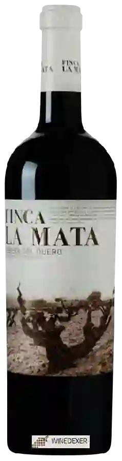 Weingut Isaac Fernandez - Finca la Mata Weingut Isaac Fernandez - Finca la Mata