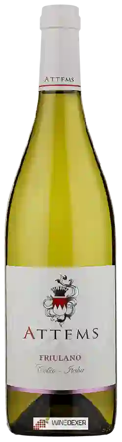 Weingut Attems - Friulano Weingut Attems - Friulano