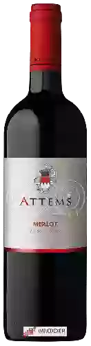 Weingut Attems - Merlot