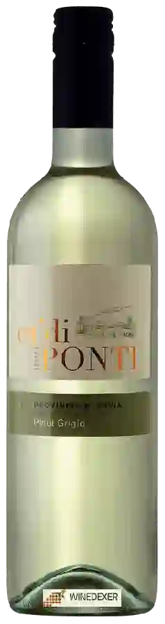 Weingut Ca' di Ponti - Pinot Grigio