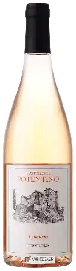 Weingut Castello di Potentino - Lyncurico Pinot Nero Rosé