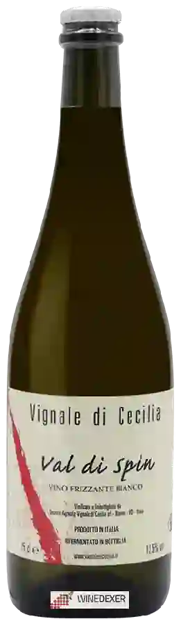 Weingut Vignale di Cecilia - Val di Spin Frizzante Bianco