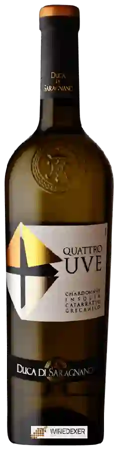Weingut Duca di Saragnano - Quattro Uve White Blend Weingut Duca di Saragnano - Quattro Uve White Blend