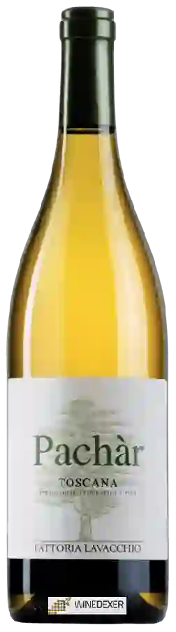 Weingut Fattoria Lavacchio - Pachàr Weingut Fattoria Lavacchio - Pachàr