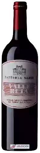 Weingut Fattoria Sardi - Valle Buia