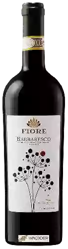 Weingut Fiore - Barbaresco