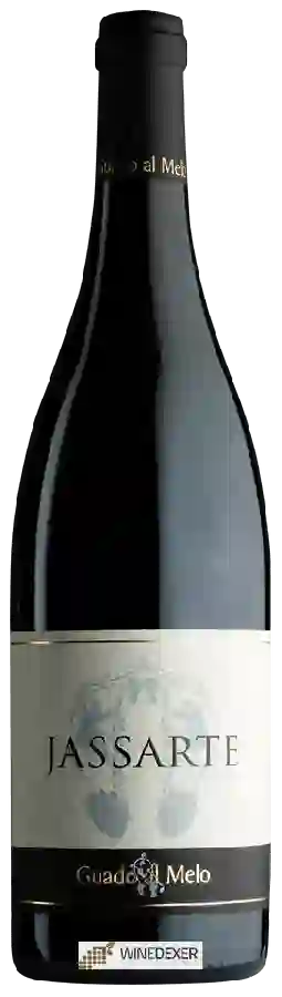 Weingut Guado al Melo - Jassarte