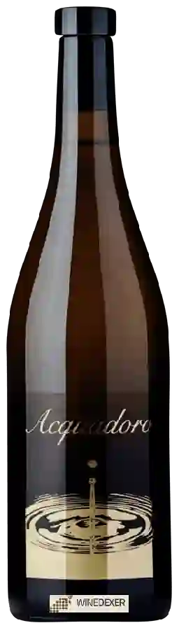 Weingut Tenuta la Badiola - Acquadoro Weingut Tenuta la Badiola - Acquadoro