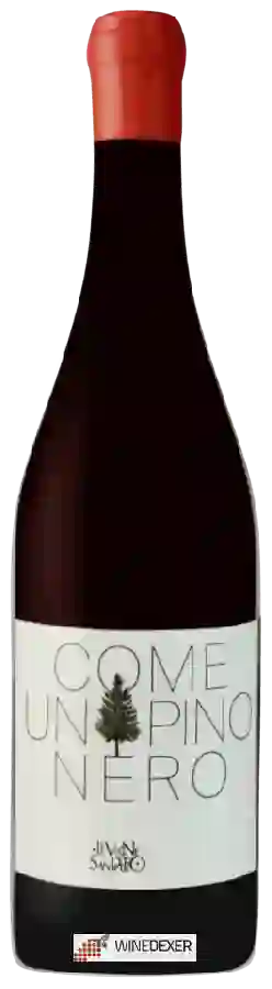 Weingut Le Vigne di San Pietro - Come Un Pino Nero Weingut Le Vigne di San Pietro - Come Un Pino Nero