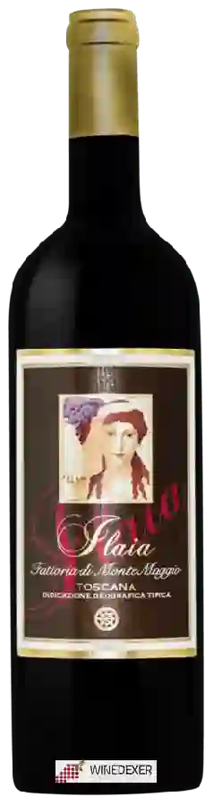Weingut MonteMaggio - Ilaia di Montemaggio