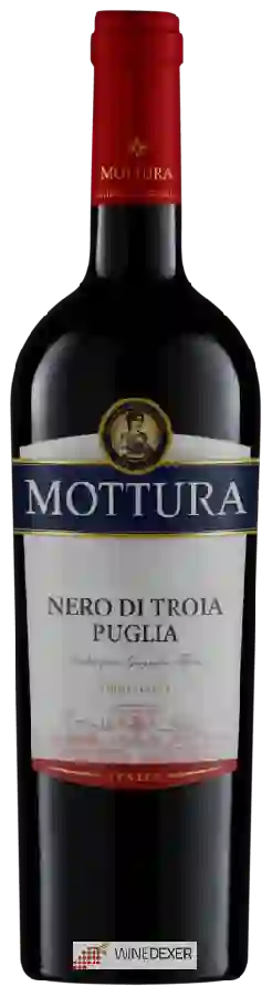 Weingut Mottura - Nero di Troia Puglia Weingut Mottura - Nero di Troia Puglia