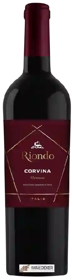 Weingut Riondo - Vinea Corvina Veronese