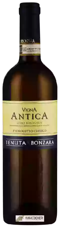 Weingut Tenuta Bonzara - Vigna Antica Pignoletto Classico Weingut Tenuta Bonzara - Vigna Antica Pignoletto Classico
