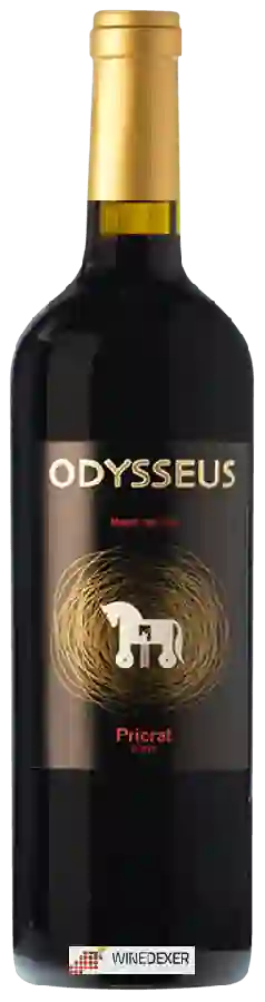 Weingut Puig Priorat - Odysseus Maset del Ros