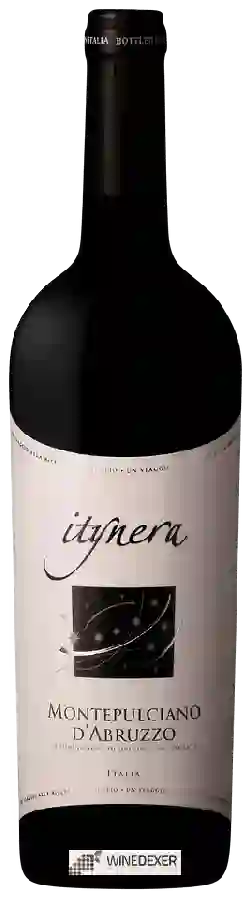 Weingut Itinera - Montepulciano d'Abruzzo Weingut Itinera - Montepulciano d'Abruzzo