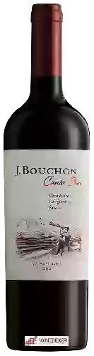 Weingut J. Bouchon - Canto Sur Red