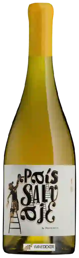 Weingut J. Bouchon - Pais Salvaje Blanco Weingut J. Bouchon - Pais Salvaje Blanco