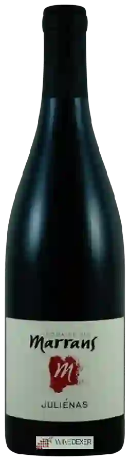 Domaine des Marrans - Juliénas Rouge Domaine des Marrans - Juliénas Rouge