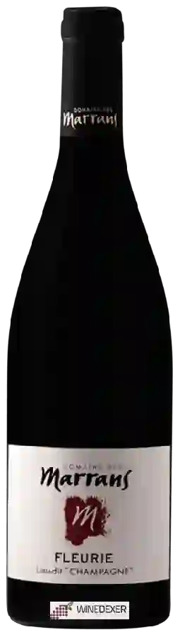 Domaine des Marrans - Fleurie Lieu-dit Champagne Domaine des Marrans - Fleurie Lieu-dit Champagne