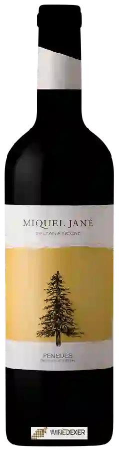 Weingut Miquel Jané - Baltana Negre Weingut Miquel Jané - Baltana Negre