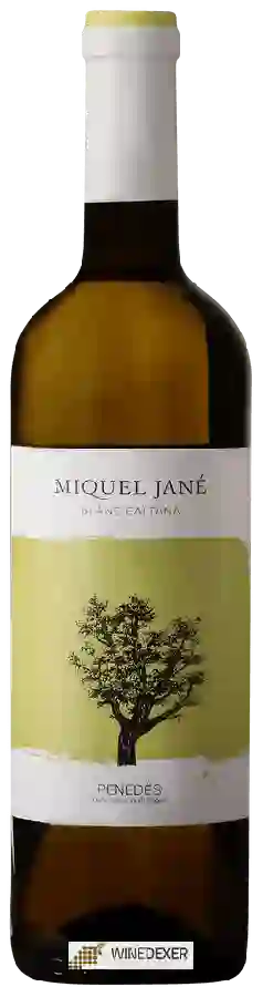 Weingut Miquel Jané - Blanc Baltana Weingut Miquel Jané - Blanc Baltana