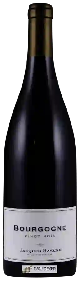 Weingut Jacques Bavard - Bourgogne Pinot Noir Weingut Jacques Bavard - Bourgogne Pinot Noir